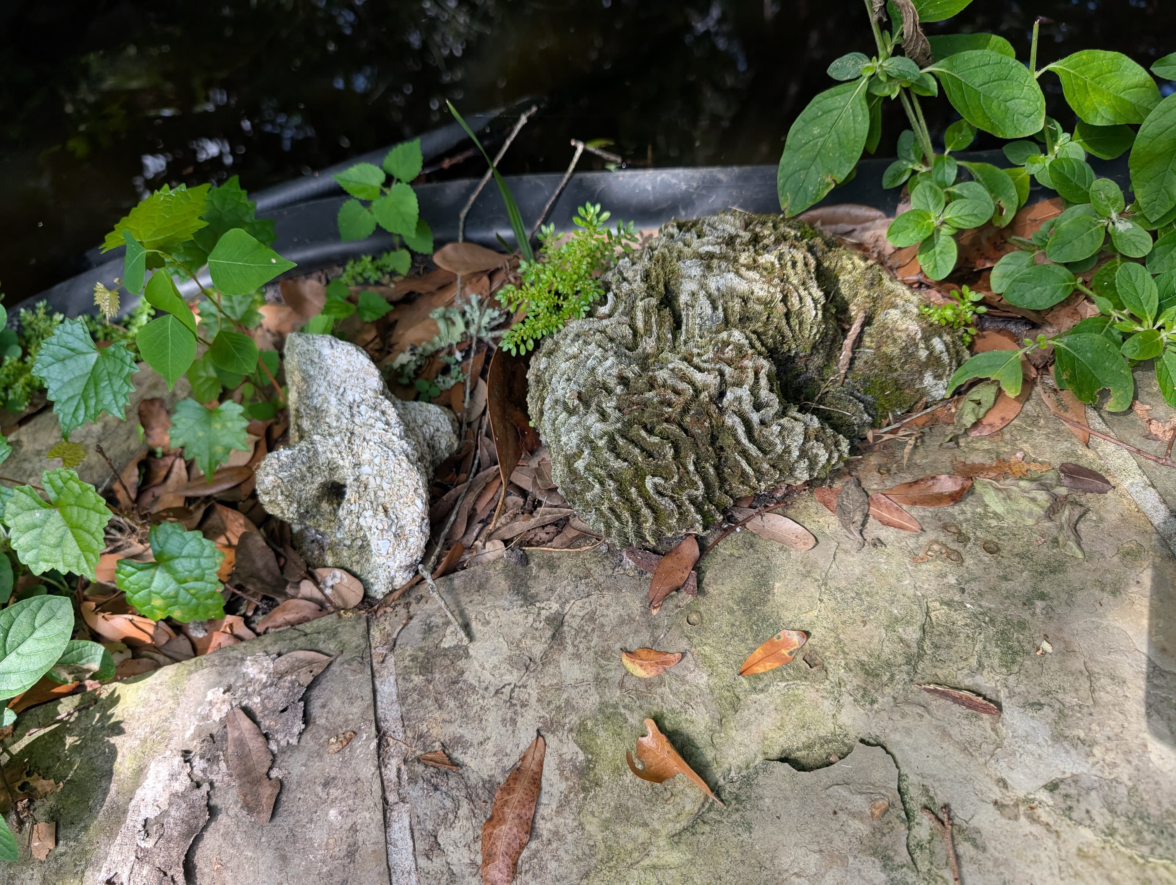 Grasons St Johns & Flagler Counties OUTSTANDING Estate Sale St Augustine Beach